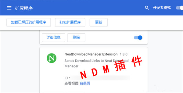 Neat Download Manager(NDM下载器)使用教程